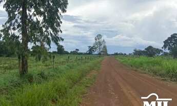 Imagem: Fazenda a 150 km Palmas. 380 Alq. (1.839