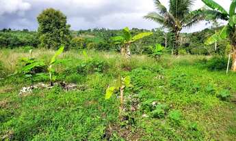 Imagem 6: Vendo maravilhoso sítio em Valença p