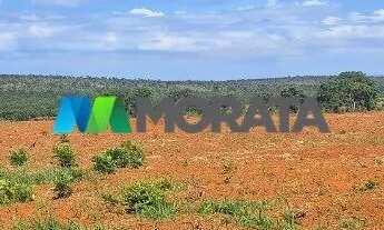 Imagem 6: FAZENDA À VENDA - 385 HECTARES - CORINTO - MG