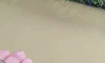 Imagem 2: Chácara são José dos pinhais