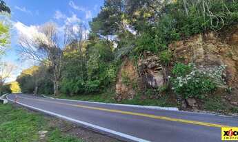 Imagem: Sítio / Chácara para Venda em Nova Petrópolis