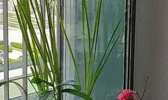 Imagem 4: Apartamento condomínio Residencial Ibéria