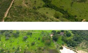 Imagem 2: Vendo Fazenda em Girassol - Cocalzinho GO