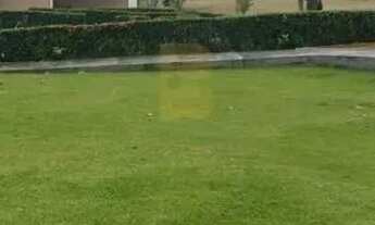 Imagem 5: CHÁCARA COMERCIAL / RESIDENCIAL - VENDA, Comunidade Genésio, Zona Rural - Chapada dos Guim