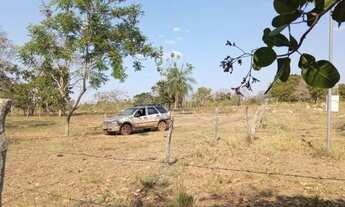 Imagem 3: Sítio de 30 hectares no assentamento comunidade sadia 3