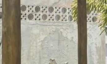 Imagem 7: VENDO CASA NO ARAÇAGY