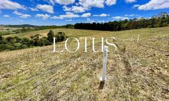 Imagem 6: 86C- COTIA OFERECE ÓTIMOS TERRENOS!