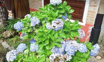 Imagem 2: Chalé e Cabana Chácara com venda por R$800.000