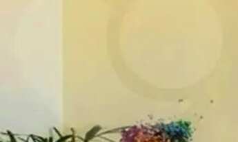 Imagem 6: Apartamento à Venda com 2 Quartos, Vaga, Academia e Pet Friendly