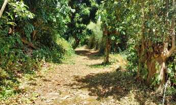 Imagem 7: Sítio / Chácara para Venda em Rio de Janeiro, Barra de Guaratiba, 4 dormitórios, 2 suítes