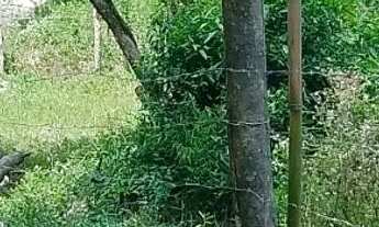 Imagem 3: VENDO 2 TERRENOS