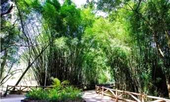 Imagem 4: Casa térrea à venda no Condomínio Saint Patrick, em Sorocaba -SP