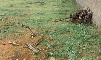 Imagem 3: Lote 26 de Setembro - Condominio