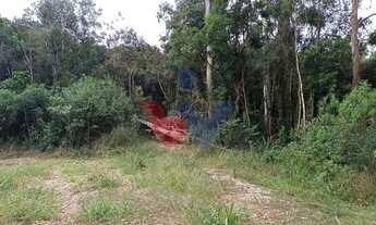 Imagem 6: Chácara dos Sonhos em Araucária 24.300m de Natureza e Tranquilidade