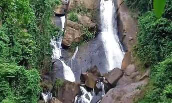 Imagem: Venda-se 2 alqueires e 10 litros de mata