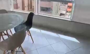 Imagem 5: APARTAMENTO para LOCAÇÃO ANUAL ITAPEMA