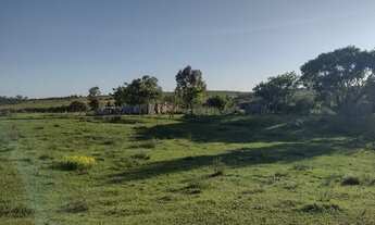 Imagem 4: Vendo 70 hectares de campo pecuária com área para pastagem ou lavoura