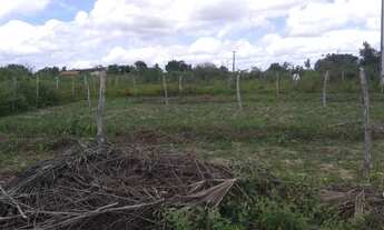 Imagem: Pechincha vdo terreno em nova parnamirim