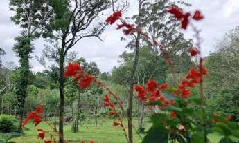 Imagem 4: Sítio de 4000m² com açude e bem arborizado em Águas Claras