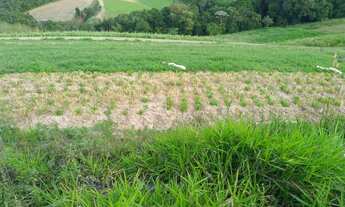 Imagem 2: 11o- Lote à venda sem consulta ao spc e Serasa