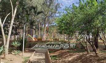 Imagem 5: Alugo apartamento 3 dormitórios próx PUC bandeiras