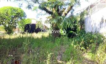 Imagem 5: PORTO ALEGRE - Terreno Padrão - IPANEMA