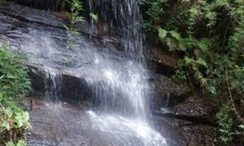 Imagem 2: Magnífico Sítio de 3,63 Hectares, Rico em Água, Beleza e Encantamento!!! Delfim Moreira/MG