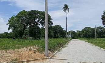 Imagem 3: Loteamento Caucaia Center Pronto Para Construir Proximo Do Forum.. n°:31