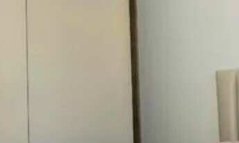 Imagem 6: SANTO ANDRé - Padrão - Campestre