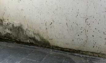 Imagem 7: TERRENO COM 240 METROS - BEM LOCALIZADO - PARA LOCAÇÃO - SÃO PAULO - SP