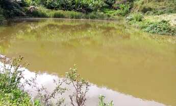 Imagem 3: M- Fazenda em Laranja da Terra 7,5 alqueires