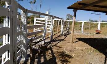 Imagem 6: Chacara de 2 alqueires formada com represa tanque de peixe riacho a 85 km de goiania