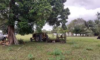 Imagem 2: Fazenda à venda em salvaterra com 1.000 hectares, documentada, Pará