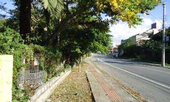 Imagem 7: Terreno comercial à venda, Cachoeira do Bom Jesus, Florianópolis
