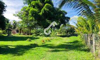 Imagem 2: BARRA DO POJUCA, Monte Gordo. Propriedade Rural em frente a ITACIMIRIM com 8,5ha (85.000m²