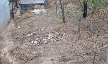 Imagem 2: Terreno no Braz Caxi próximo ao asfalto