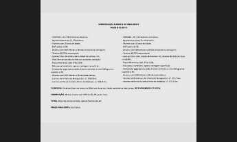 Imagem: 76 mil árvores Ibirama