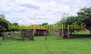 Imagem 2: Sítio 7,25 alqueires, 100% plano, formado, 19 km de Monte Alegre