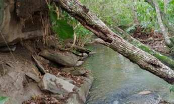 Imagem 7: Chácara em Mairipotaba a 80 km de Goiânia com córrego energia chácaras 20.000 metros
