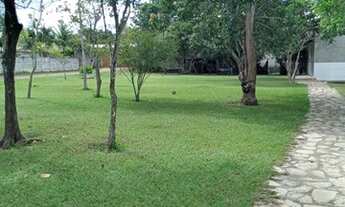 Imagem 2: CHACARA COM 4 400 MT