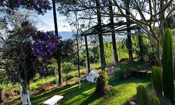 Imagem: Chácara para venda tem 2500 metros quadrados