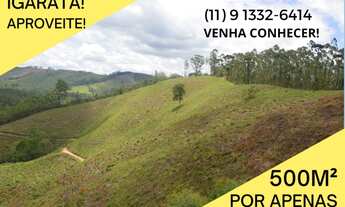 Imagem: Invista agora seu dinheiro