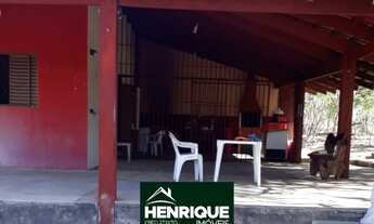 Imagem 9: Chácara de 40 mil metros pronta para uso em Luzimangues vista pra Palmas