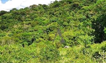 Imagem 5: Terreno à venda, 2 Ha por R$ 1.650.000 - Ressacada - Garopaba/SC