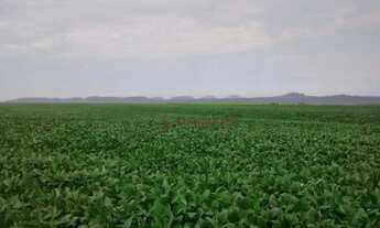 Imagem: Fazenda à venda, 2.461 hectares por R$