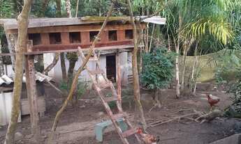 Imagem 3: Chácara em Antônina