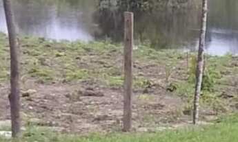 Imagem 4: Vende-se um sítio