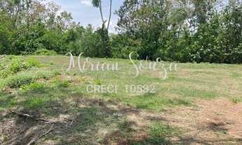 Imagem 6: Vendo chacará em Rosário Oeste 1,5 hectares