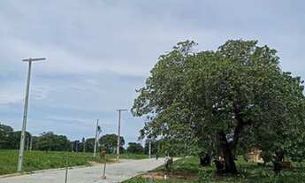 Imagem: Loteamento Caucaia Center Pronto Para Construir
