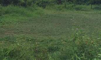 Imagem 1: Lote/Terreno 360 m² Parque do Bosque